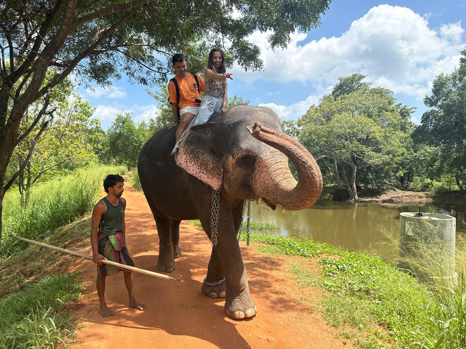 Yala Wildlife