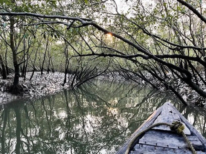 Sundarbans