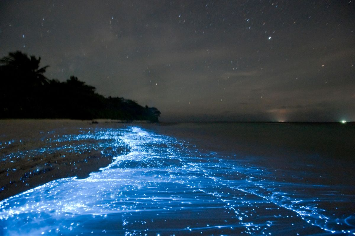 Vaadhoo glowing beach