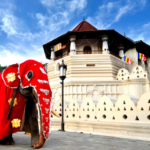 Sri Lanka Kandy & Colombo Escape