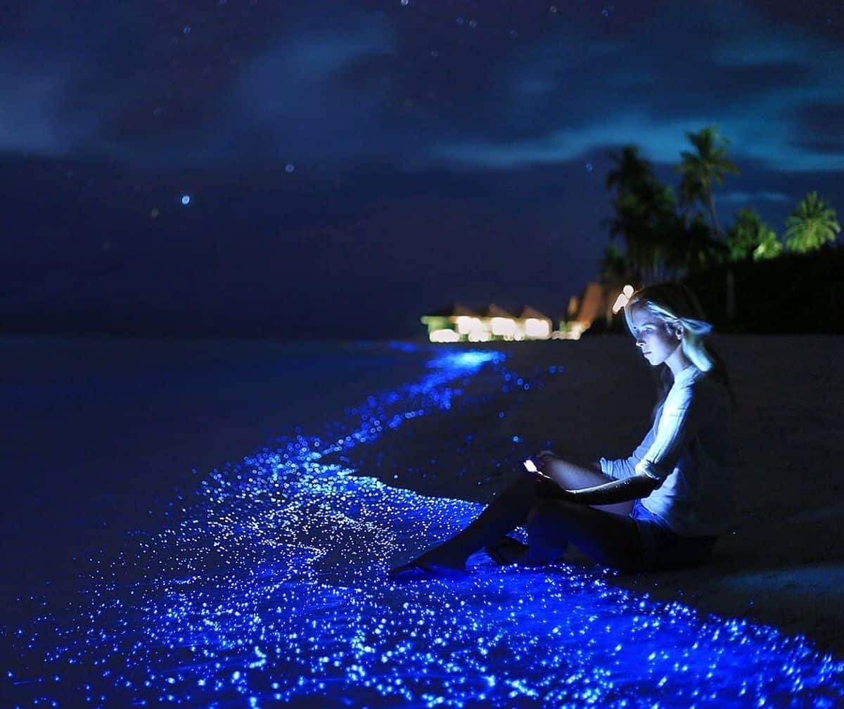 Maldives beach